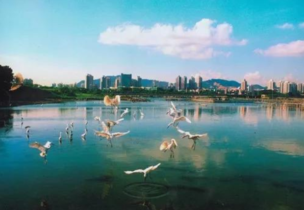 人民日?qǐng)?bào)：環(huán)境有價(jià)，損害必須擔(dān)責(zé)